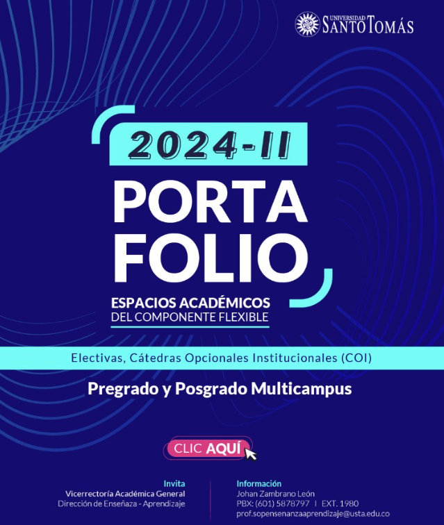 portafolio de electivas